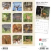 Browntrout 2024 Wall Calendar 12"x12" White Tailed Deer