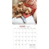 TF Publishing 2024 Wall Calendar 12"x12" Dog Dreams