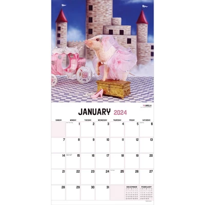 TF Publishing 2024 Wall Calendar 12"x12" Playful Pigs 1 TF Publishing 2024 Wall Calendar 12"x12" Playful Pigs
