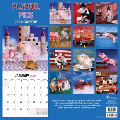 TF Publishing 2024 Wall Calendar 12"x12" Playful Pigs 4 TF Publishing 2024 Wall Calendar 12"x12" Playful Pigs - Image 4