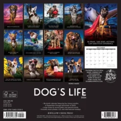 Willow Creek Press 2024 Wall Calendar 12"x12" Dog's Life
