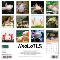 Willow Creek Press 2024 Wall Calendar 12"x12" Axolotls