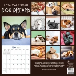 TF Publishing 2024 Wall Calendar 12"x12" Dog Dreams -Office Supplies GUEST 4a3da4d4 5e33 4d00 87fc 110e08a8dc6c