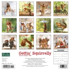 Willow Creek Press 2024 Wall Calendar 12"x12" Gettin' Squirrelly