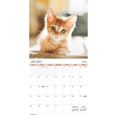 Trends International Inc. 2023-24 Wall Calendar 12"x12" Cuddly Kittens 1 Trends International Inc. 2023-24 Wall Calendar 12"x12" Cuddly Kittens