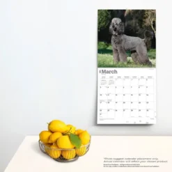 Browntrout 2024 Wall Calendar 12"x12" Poodles -Office Supplies GUEST 5db6fe5c eab8 4213 92e9 6eb786af0012