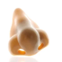 Fun Express Nose Pencil Sharpener 12 Pieces 6 Fun Express Nose Pencil Sharpener 12 Pieces -Office Supplies GUEST 67eae323 fcef 4b5a a089 01a365cee3ec