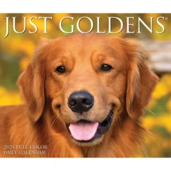 Willow Creek Press 2024 Daily Desk Calendar 5.2"x6.2" Goldens -Office Supplies GUEST 7a67fa65 e8b7 41df be43 ea94af9915ce