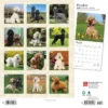 Browntrout 2024 Wall Calendar 12"x12" Poodles
