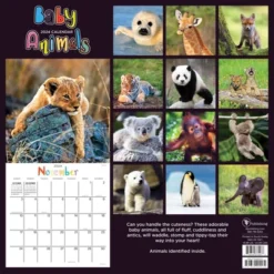 TF Publishing 2024 Wall Calendar 12"x12" Baby Animals -Office Supplies GUEST 998ff856 09d4 4f0d 8d66 484c860f3761