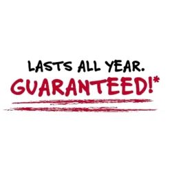 Five Star 2" 3-Ring Zipper Binders D-Ring Assorted Colors (29052) 15 Five Star 2" 3-Ring Zipper Binders D-Ring Assorted Colors (29052) -Office Supplies GUEST a58f29ff d567 46af a2c7 3c460c097b58