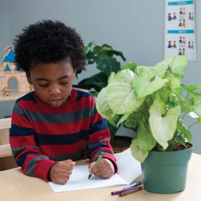 Kaplan Early Learning Standard Crayons Class Pack - 800 Per Box 2 Kaplan Early Learning Standard Crayons Class Pack - 800 Per Box - Image 2