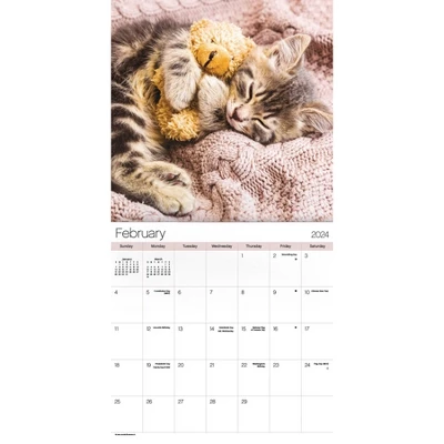 Trends International Inc. 2023-24 Wall Calendar 12"x12" Cuddly Kittens 2 Trends International Inc. 2023-24 Wall Calendar 12"x12" Cuddly Kittens - Image 2