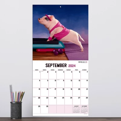 TF Publishing 2024 Wall Calendar 12"x12" Playful Pigs 2 TF Publishing 2024 Wall Calendar 12"x12" Playful Pigs - Image 2