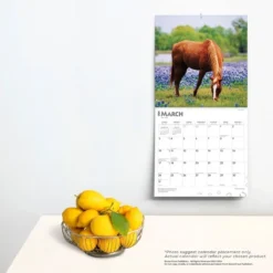 Browntrout 2024 Wall Calendar 12"x12" Horse Lovers -Office Supplies GUEST c3f0bc3b 6f7a 4d68 8374 4c4251901faa