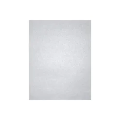 LUX 105 Lb. Cardstock Paper 13" X 19" Silver Metallic 250 Sheets/Pack (1319-C-M06-250)