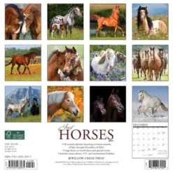 Willow Creek Press 2024 Wall Calendar 12"x12" Just Horses
