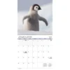 Trends International Inc. 2023-24 Wall Calendar 12"x12" Animal Babies Bilingual English/French