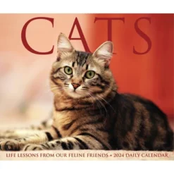 Willow Creek Press 2024 Daily Desk Calendar 5.2"x6.2" Cats -Office Supplies GUEST f26b9cd1 2bae 4a48 bf1a 11ee5c744268
