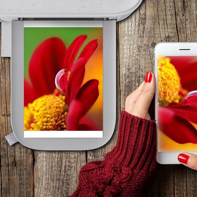 HP Sprocket Studio Plus 4 X 6" Photo Paper And Cartridges (Includes 108 Sheets And 2 Cartridges) Compatible Only With HP Sprocket Studio+ Printer 3 HP Sprocket Studio Plus 4 X 6" Photo Paper And Cartridges (Includes 108 Sheets And 2 Cartridges) Compatible Only With HP Sprocket Studio+ Printer - Image 3